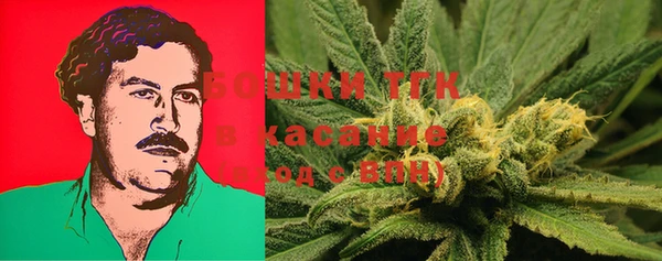 молекула духа Медногорск